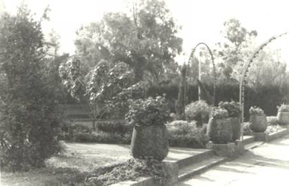 1955-Jardines Gerencia_AHV-FdS